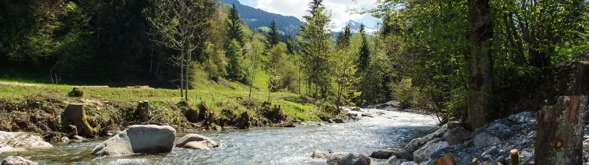 Wanderung Lendwirt – Käsealm Straubing