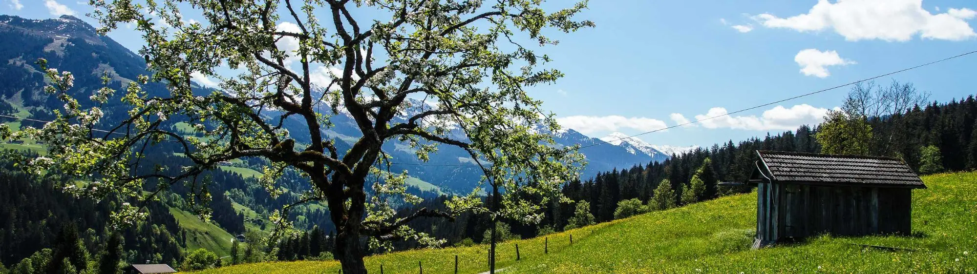 Wanderung Lendwirt – Kienzlinger Alm – Käsealm Straubing
