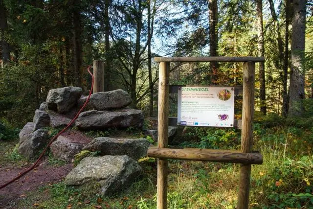 Wanderung Going (750 m) – Ackerlhütte (1465 m) – Foto 11