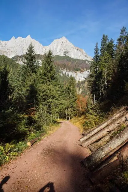 Wanderung Going (750 m) – Ackerlhütte (1465 m) – Foto 13