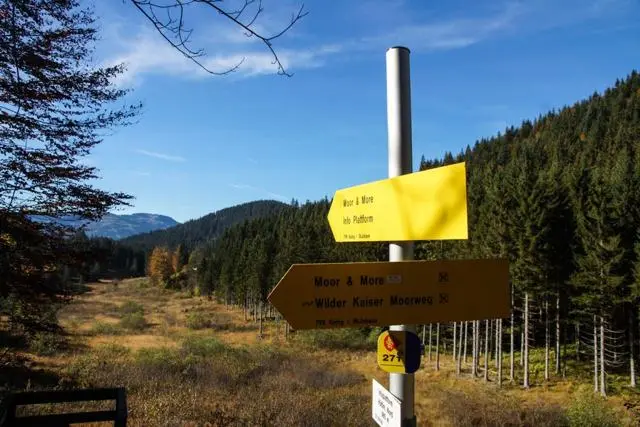 Wanderung Going (750 m) – Ackerlhütte (1465 m) – Foto 14