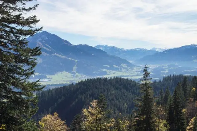 Wanderung Going (750 m) – Ackerlhütte (1465 m) – Foto 18