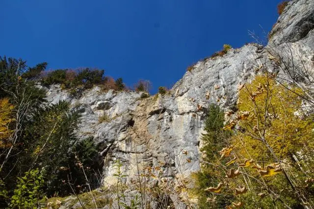 Wanderung Going (750 m) – Ackerlhütte (1465 m) – Foto 19