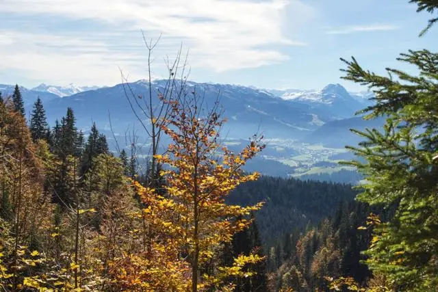 Wanderung Going (750 m) – Ackerlhütte (1465 m) – Foto 24
