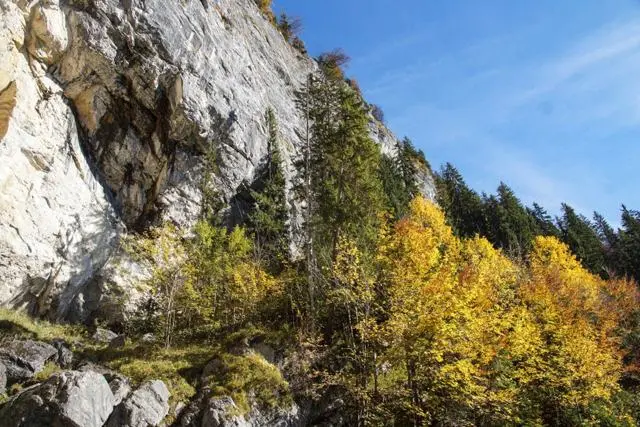 Wanderung Going (750 m) – Ackerlhütte (1465 m) – Foto 26