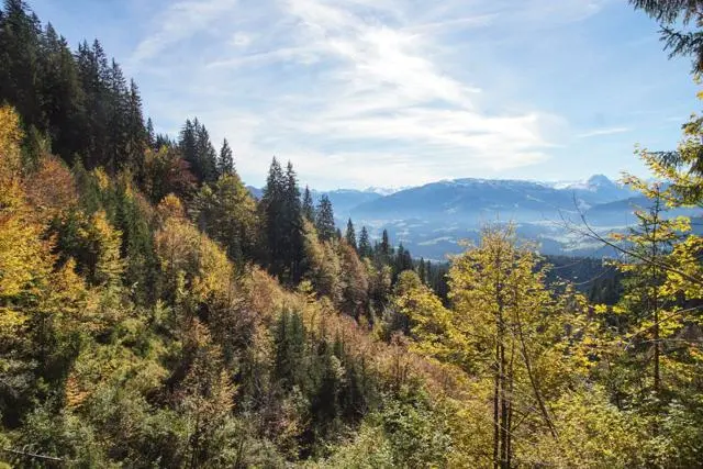 Wanderung Going (750 m) – Ackerlhütte (1465 m) – Foto 28