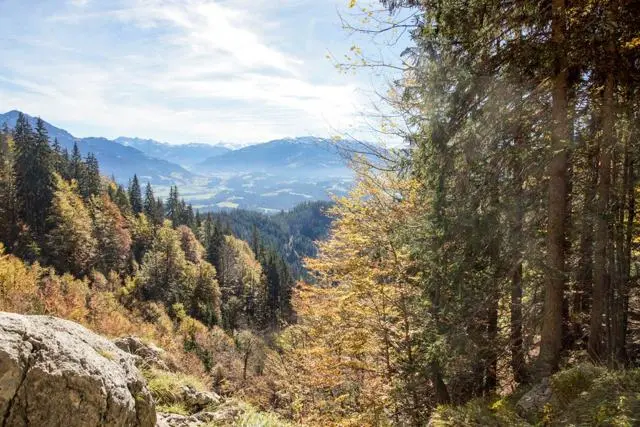 Wanderung Going (750 m) – Ackerlhütte (1465 m) – Foto 32