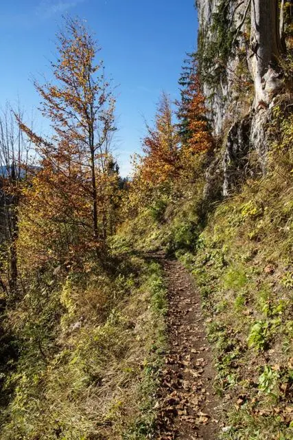 Wanderung Going (750 m) – Ackerlhütte (1465 m) – Foto 37