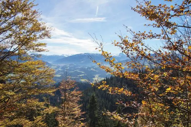 Wanderung Going (750 m) – Ackerlhütte (1465 m) – Foto 38