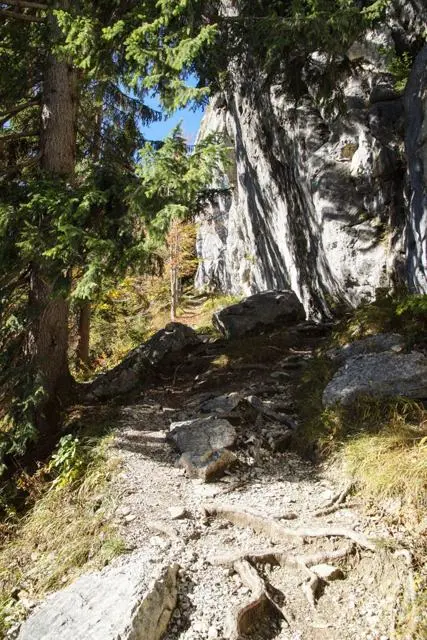 Wanderung Going (750 m) – Ackerlhütte (1465 m) – Foto 39