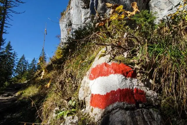 Wanderung Going (750 m) – Ackerlhütte (1465 m) – Foto 40