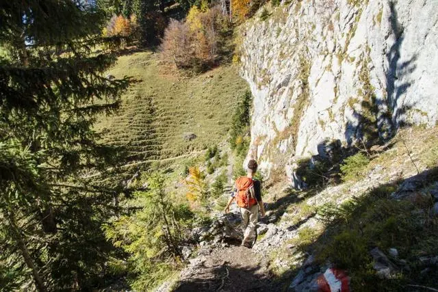 Wanderung Going (750 m) – Ackerlhütte (1465 m) – Foto 41