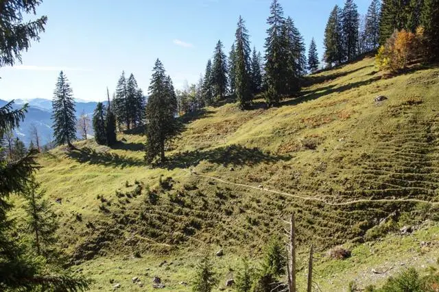 Wanderung Going (750 m) – Ackerlhütte (1465 m) – Foto 42