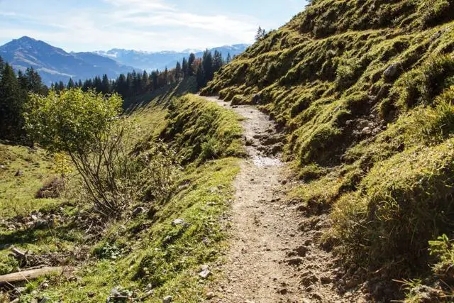 Wanderung Going (750 m) – Ackerlhütte (1465 m) – Foto 43