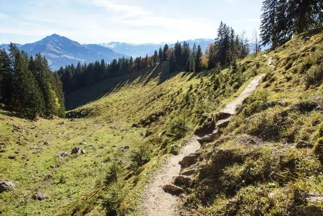 Wanderung Going (750 m) – Ackerlhütte (1465 m) – Foto 44