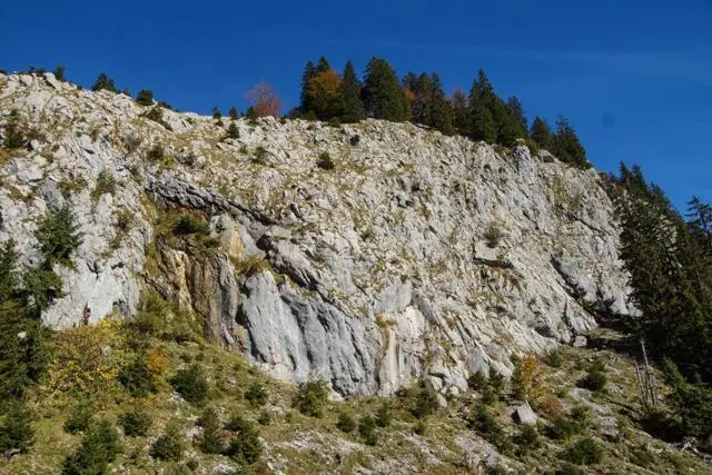 Wanderung Going (750 m) – Ackerlhütte (1465 m) – Foto 46