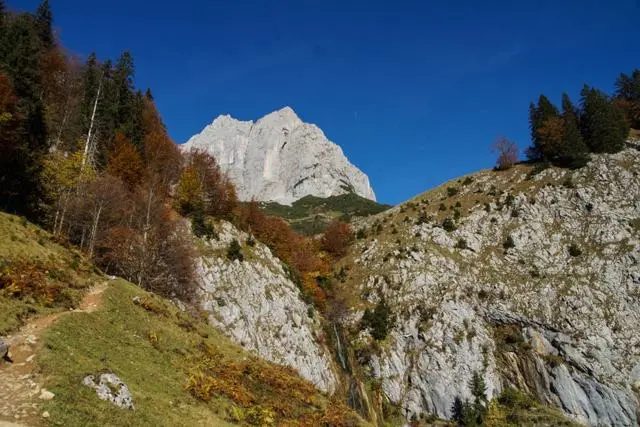 Wanderung Going (750 m) – Ackerlhütte (1465 m) – Foto 49