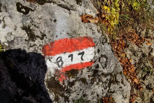 Wanderung Going (750 m) – Ackerlhütte (1465 m) – Foto 50