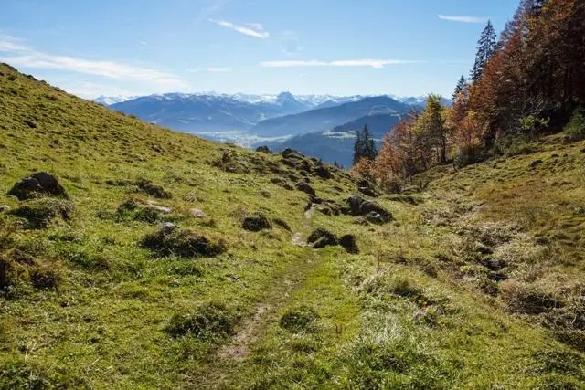 Wanderung Going (750 m) – Ackerlhütte (1465 m) – Foto 55