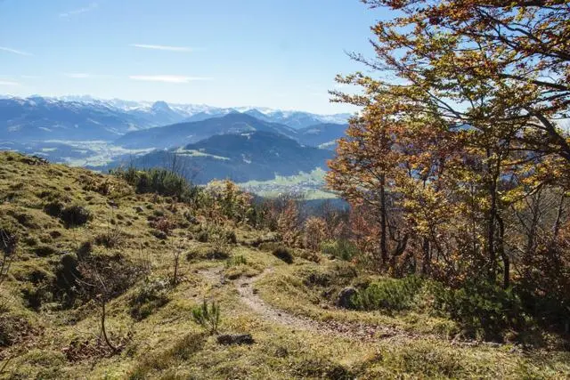 Wanderung Going (750 m) – Ackerlhütte (1465 m) – Foto 65