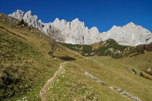 Wanderung Going (750 m) – Ackerlhütte (1465 m) – Foto 74
