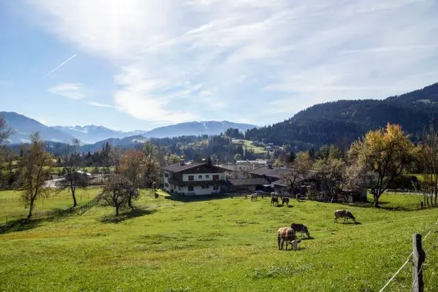 Wanderung Going (750 m) – Ackerlhütte (1465 m) – Foto 75