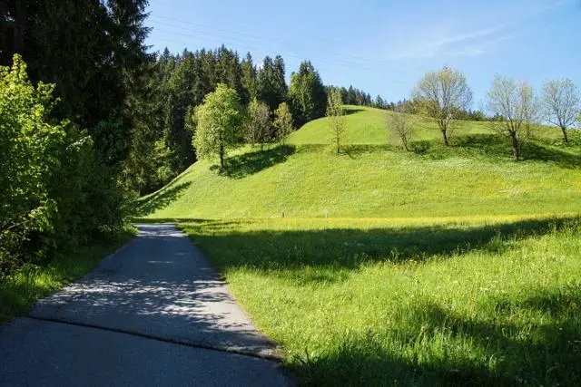 Panoramawanderung von Scheffau zum Brandstadl – Foto 3