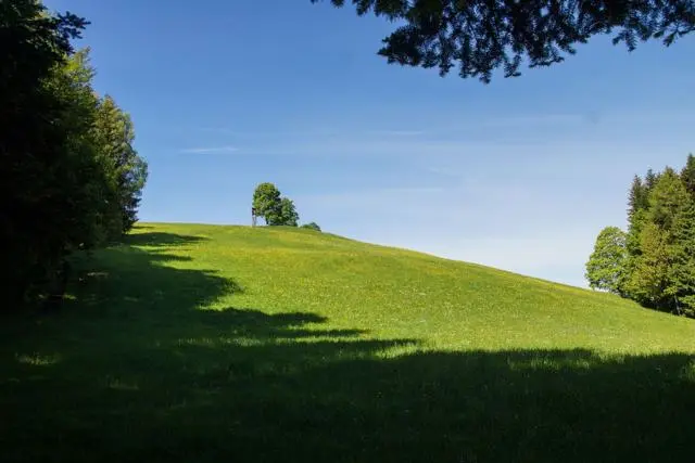 Panoramawanderung von Scheffau zum Brandstadl – Foto 6