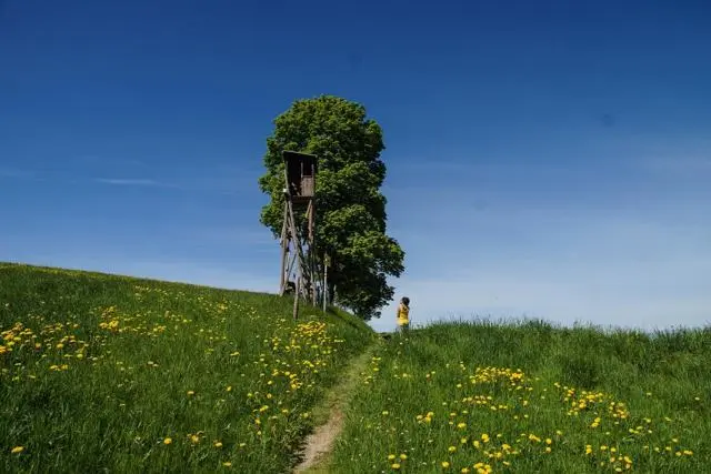 Panoramawanderung von Scheffau zum Brandstadl – Foto 8