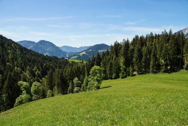 Panoramawanderung von Scheffau zum Brandstadl – Foto 9