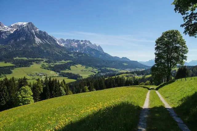 Panoramawanderung von Scheffau zum Brandstadl – Foto 10