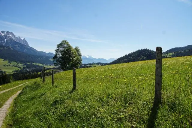 Panoramawanderung von Scheffau zum Brandstadl – Foto 13