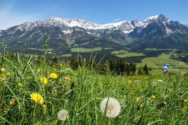 Panoramawanderung von Scheffau zum Brandstadl – Foto 14