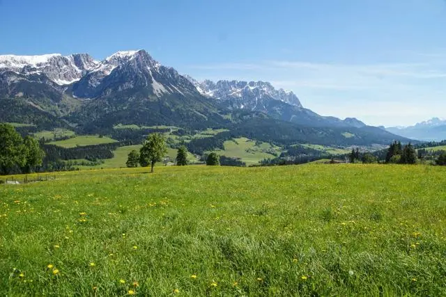 Panoramawanderung von Scheffau zum Brandstadl – Foto 15