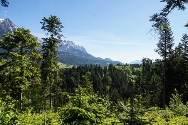 Panoramawanderung von Scheffau zum Brandstadl – Foto 16