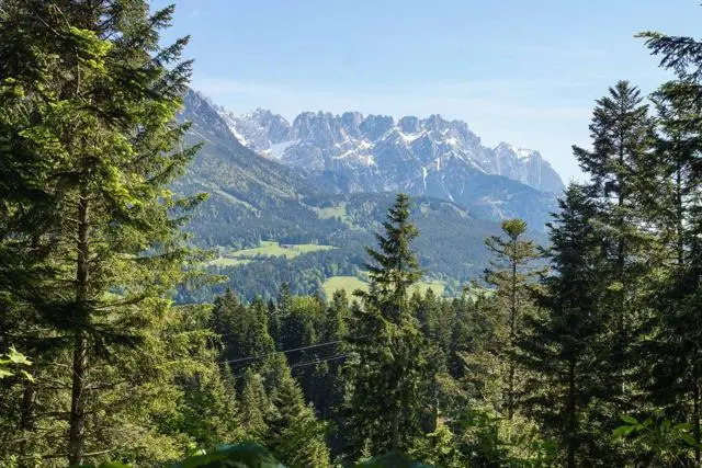 Panoramawanderung von Scheffau zum Brandstadl – Foto 17