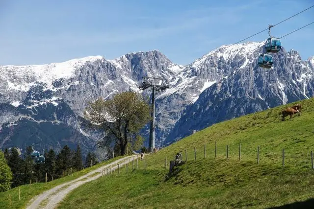 Panoramawanderung von Scheffau zum Brandstadl – Foto 20