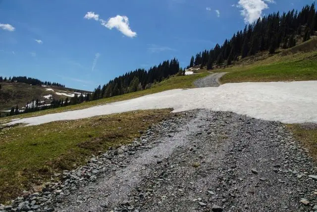 Panoramawanderung von Scheffau zum Brandstadl – Foto 22