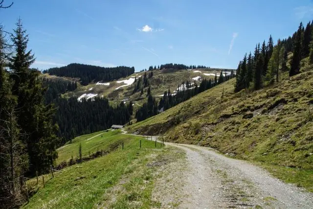 Panoramawanderung von Scheffau zum Brandstadl – Foto 24