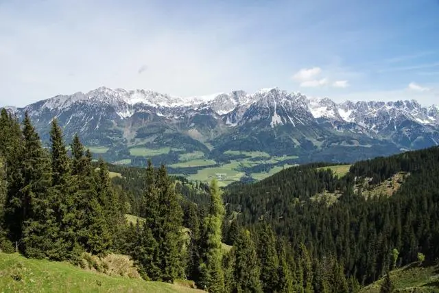 Panoramawanderung von Scheffau zum Brandstadl – Foto 27
