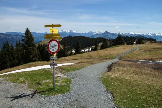 Panoramawanderung von Scheffau zum Brandstadl – Foto 32
