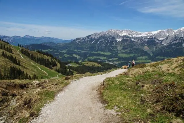 Panoramawanderung von Scheffau zum Brandstadl – Foto 35