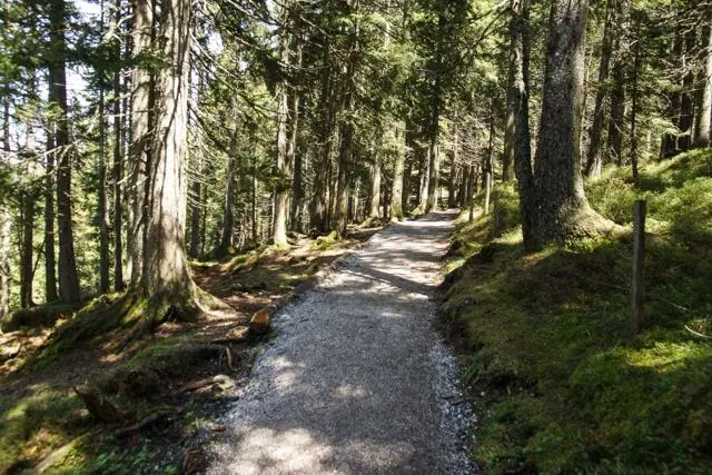 Panoramawanderung von Scheffau zum Brandstadl – Foto 36