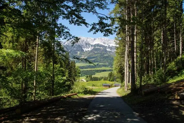 Panoramawanderung von Scheffau zum Brandstadl – Foto 37