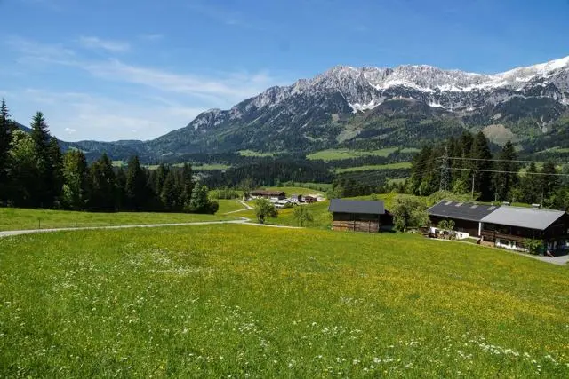 Panoramawanderung von Scheffau zum Brandstadl – Foto 39