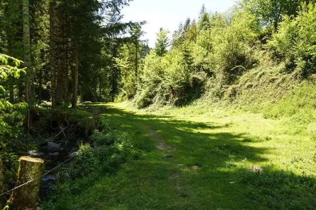 Panoramawanderung von Scheffau zum Brandstadl – Foto 40