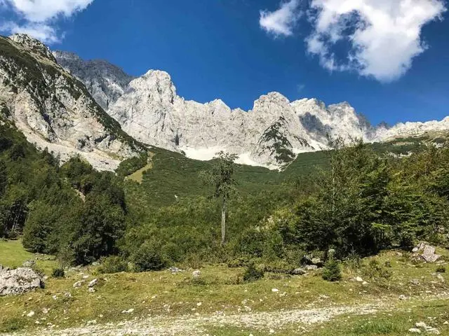 Wanderung Wochenbrunnalm – Gruttenhütte – Foto 2