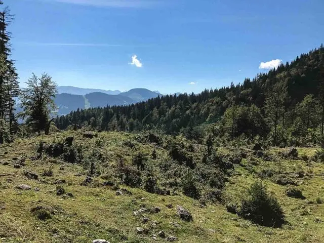 Wanderung Wochenbrunnalm – Gruttenhütte – Foto 3