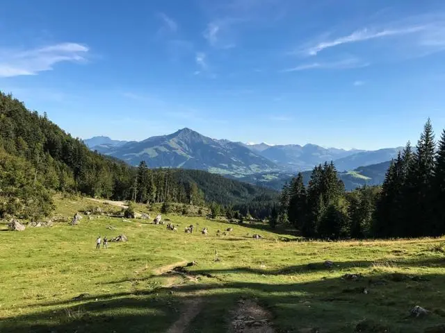 Wanderung Wochenbrunnalm – Gruttenhütte – Foto 4