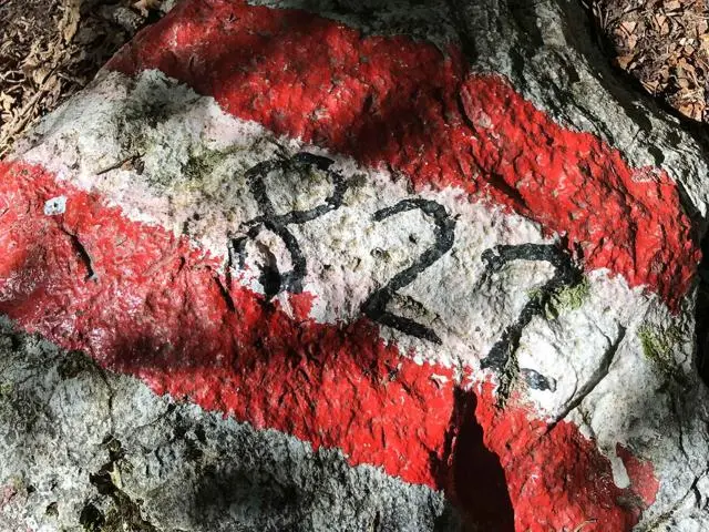 Wanderung Wochenbrunnalm – Gruttenhütte – Foto 5